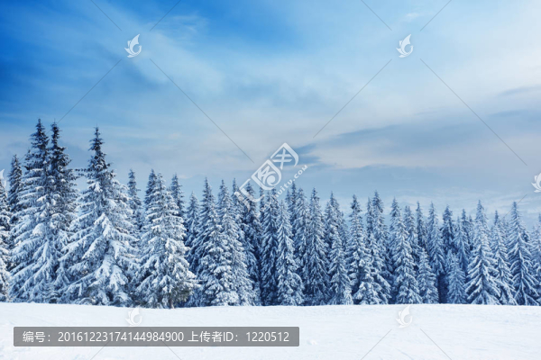 冬季景觀