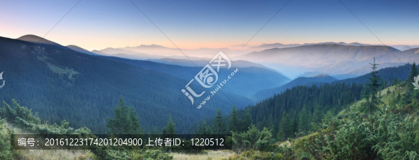 上午在山上