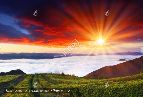 上午在山上