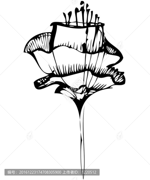 黑白花素描