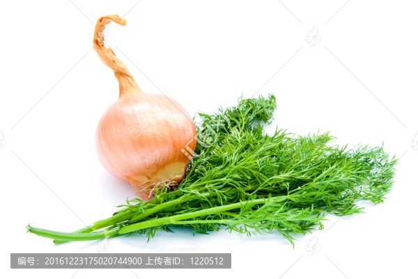 蒔蘿和洋蔥