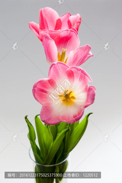 一束花