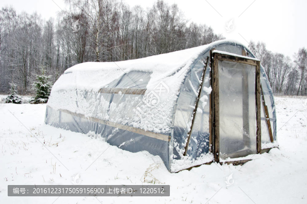 木制的DIY自制溫室塑料雪