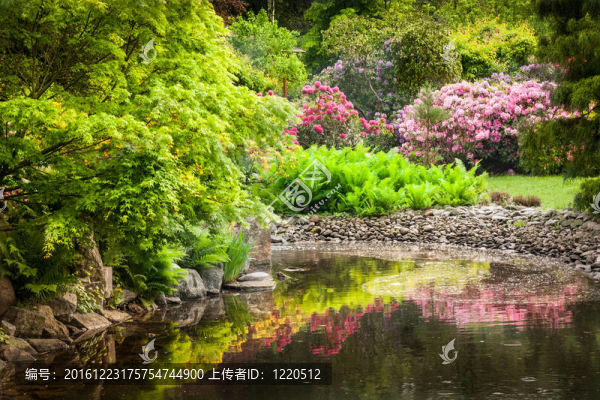 百花園
