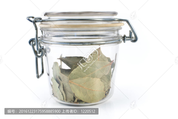 干月桂葉