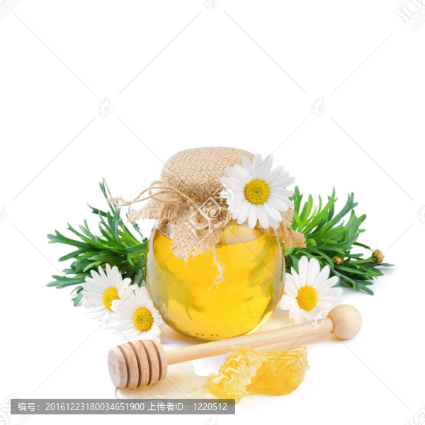 老式的蜂蜜罐的雛菊
