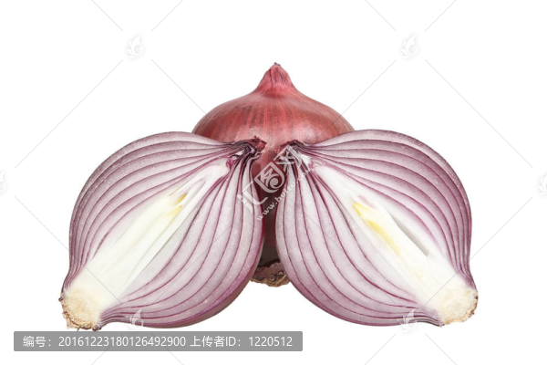 紅洋蔥的組成。在白色背景上。