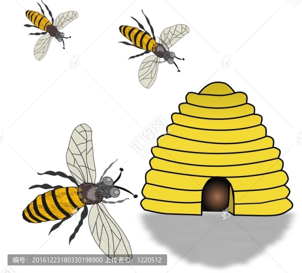 蜂箱，成群結(jié)隊(duì)的蜜蜂