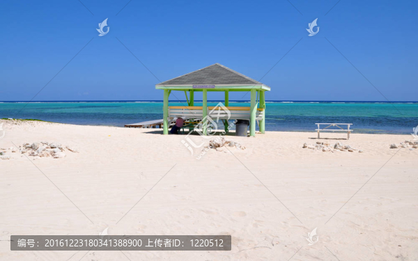 和平的加勒比海灘小屋