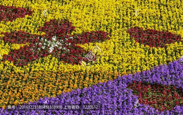 五彩繽紛的花壇