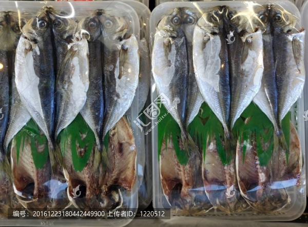 包裝新鮮魚