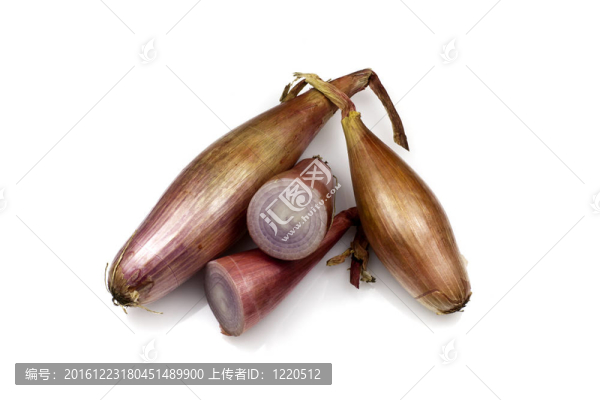 echalion洋蔥