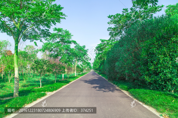 生態(tài)綠化,高清
