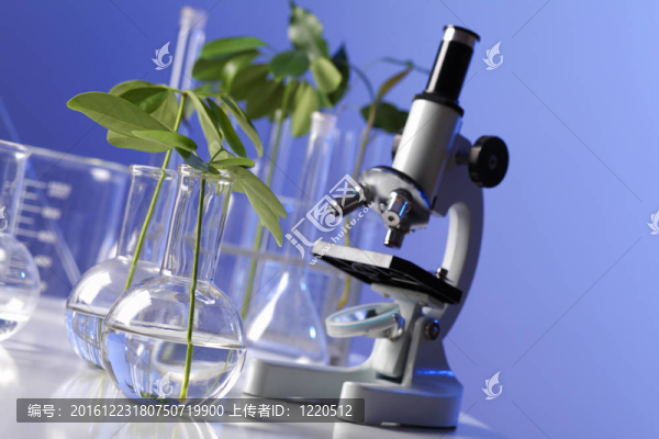 在綠色植物生物學(xué)實(shí)驗(yàn)室