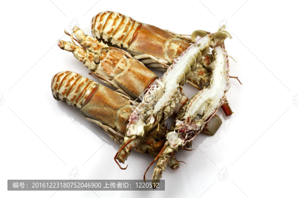 香檳龍蝦