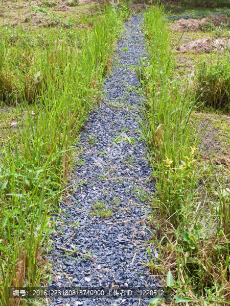 通路
