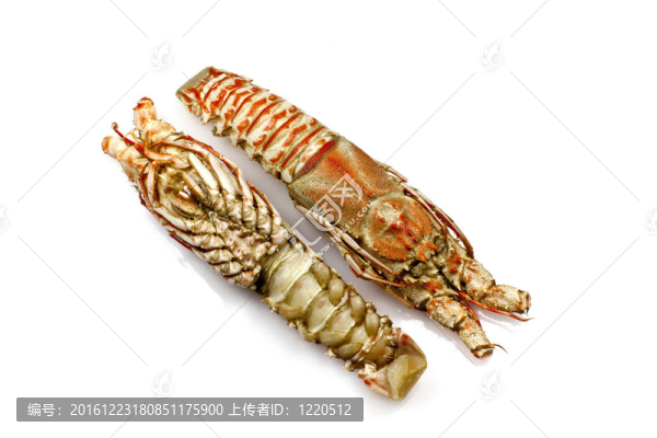 香檳龍蝦