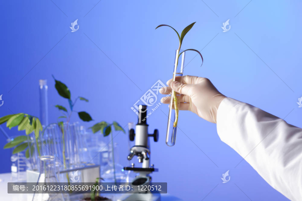在綠色植物生物學(xué)實(shí)驗(yàn)室