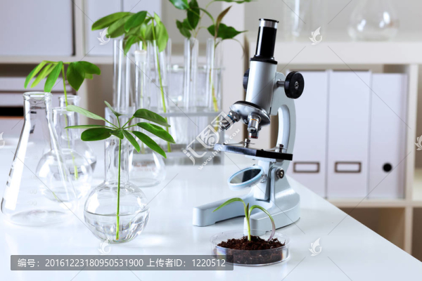 在綠色植物生物學(xué)實(shí)驗(yàn)室