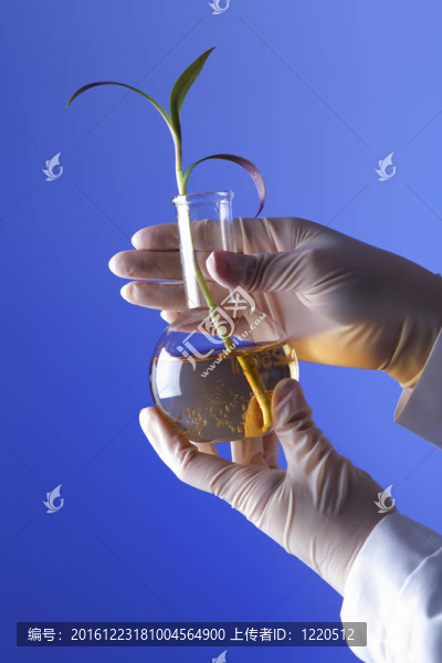 在綠色植物生物學(xué)實(shí)驗(yàn)室