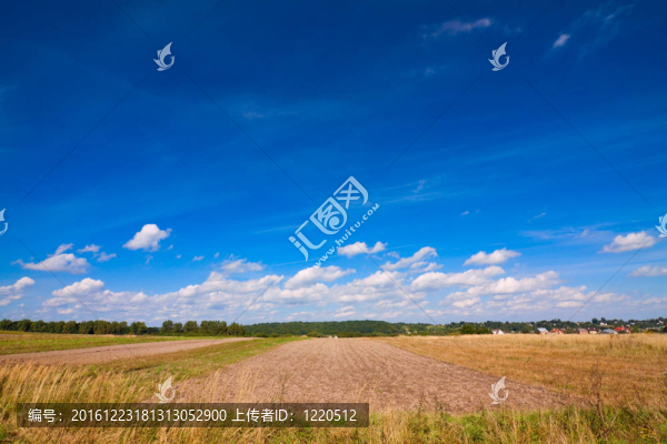 犁過的田野和天空