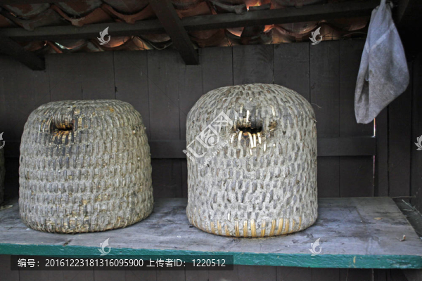 兩個(gè)老蜂巢