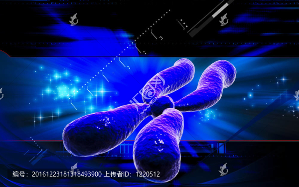 染色體