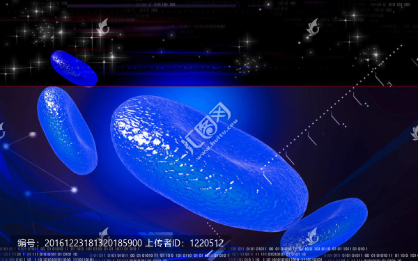 血細(xì)胞