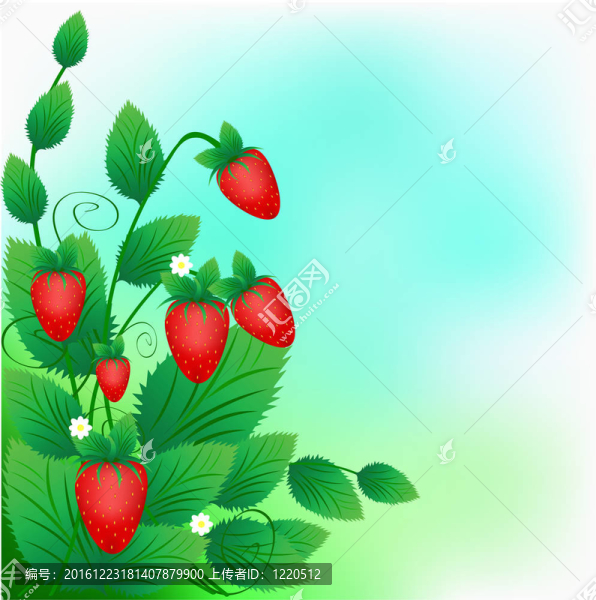 綠色背景上成熟紅草莓的布什