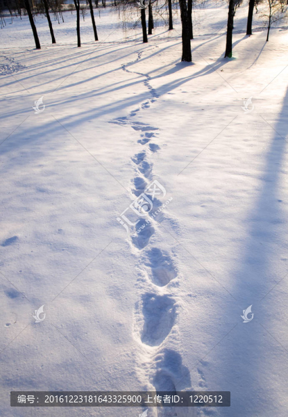 在雪的痕跡