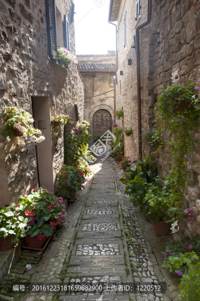 Spello；舊街