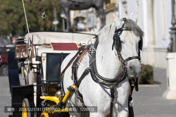 馬車