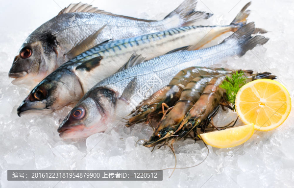 冰上海鮮