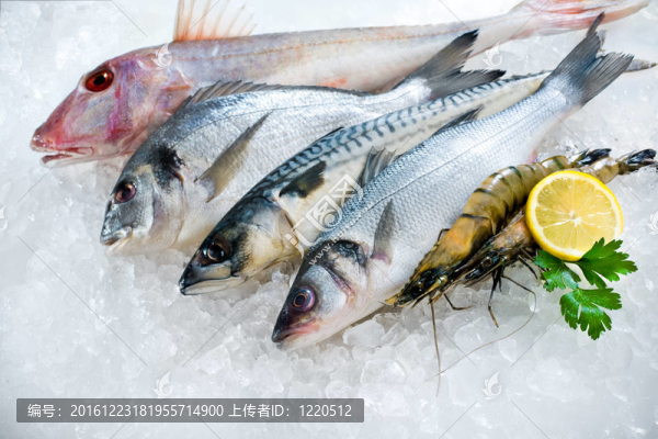 冰上海鮮