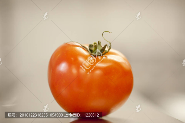 成熟的西紅柿