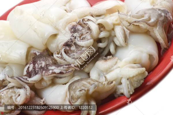 在紅板新鮮墨魚
