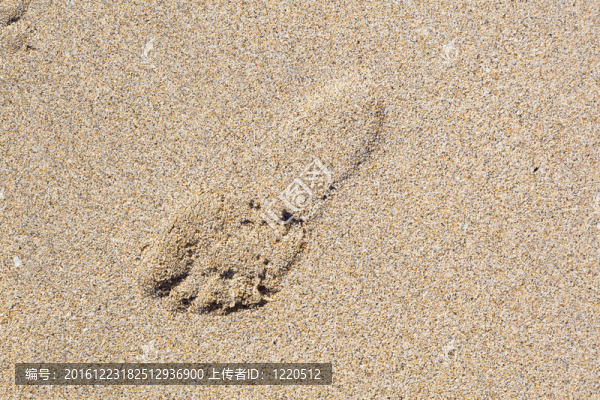 在海邊的沙灘上留下人類(lèi)的足跡