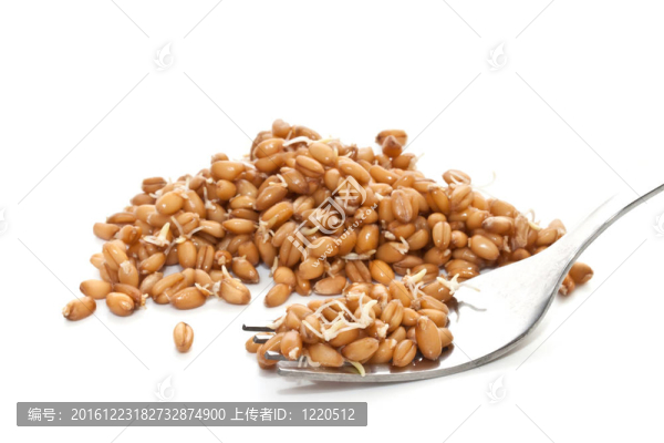 小麥籽粒在白色背景的特寫鏡頭