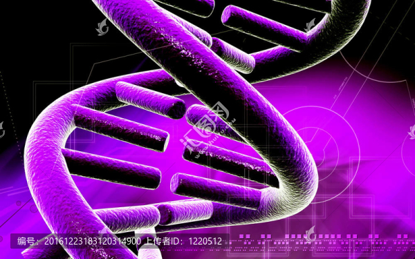 DNA