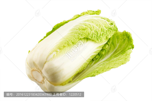 甘藍(lán)
