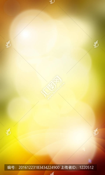 摘要