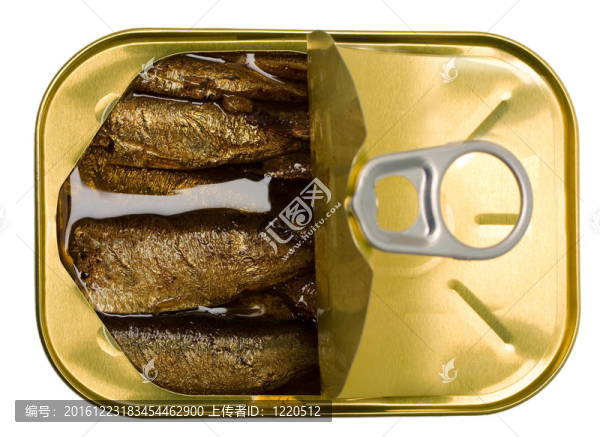 鯡魚(yú)