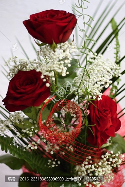 紅色的玫瑰-匯圖網(wǎng) www.fosd68.com 紅色的玫瑰