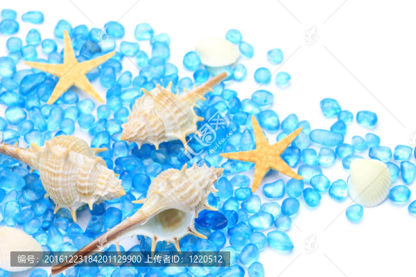 夏天的圖像
