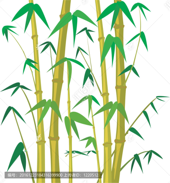 竹樹
