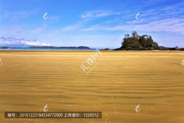 外流中的海洋海灘
