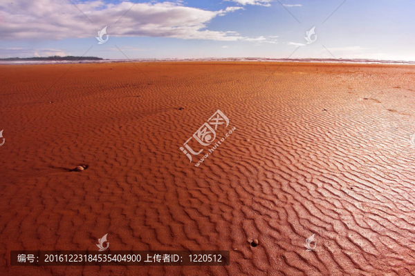 溫哥華島海洋海灘
