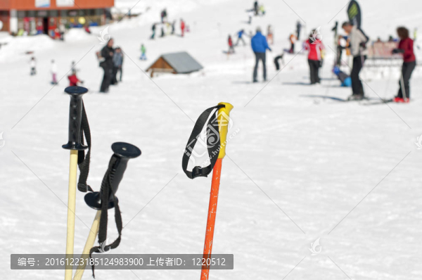 雪杖