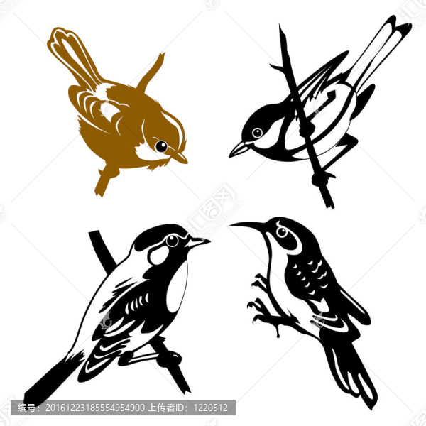 白背景鳥(niǎo)集