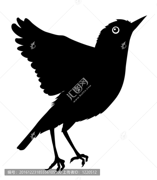 白色背景上的鳥剪影